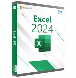 MICROSOFT EXCEL 2024 (WINDOWS)