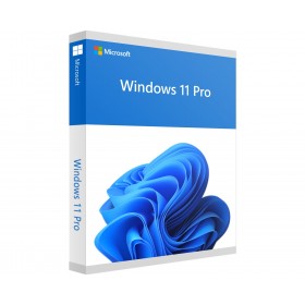 MICROSOFT WINDOWS 11 PROFESSIONELL