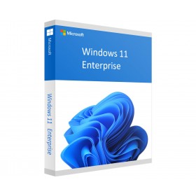 MICROSOFT WINDOWS 11 EMPRESA