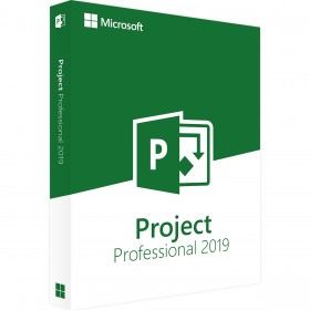 MICROSOFT PROJECT PROFESSIONAL 2019 (WINDOWS)